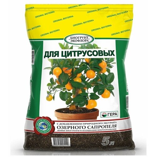 ������ ������ �������� ���� ��� ����������, 5 � ����