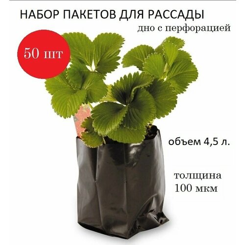 ������ ������ ����� ��� ������� 4,5�, ������� 100���, ������, 50��. ����