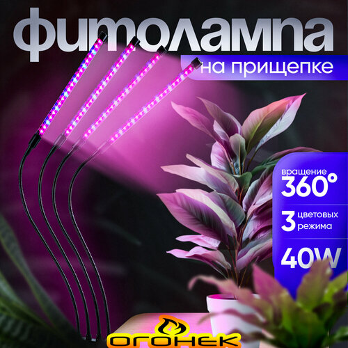 ������ ������ ���� ����� ��� �������� � �������� �� �������� ������ OG-LDP08 ����