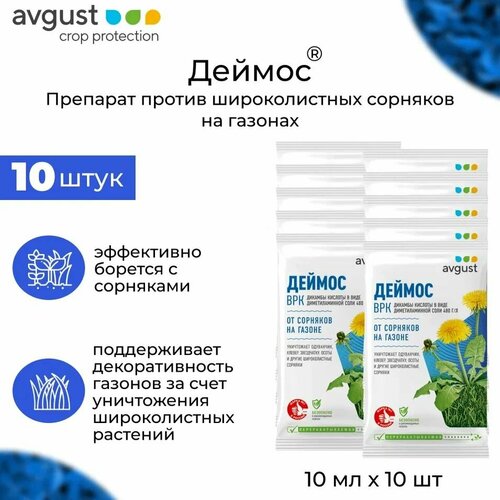 ������ ������ �������� AVGUST 