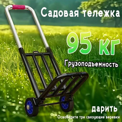 ������ ������ ������� �������, �������������, ��������, ���������������� 95 �� ����