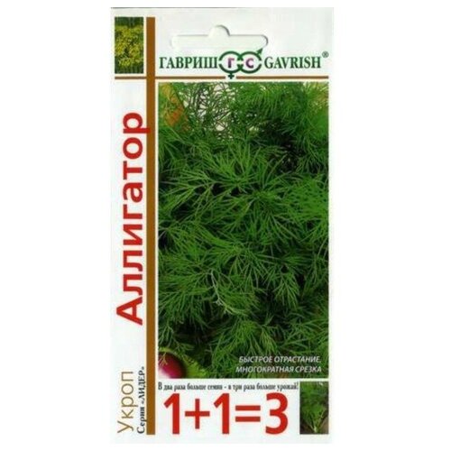 ������ ������ ����� ���������, ������ ������ ����� 1+1 4� ����