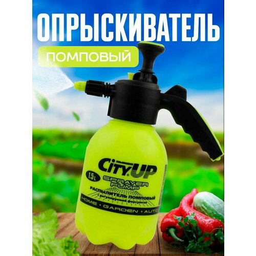 ������ ������ ������������� ������� / ����������� �������� � ������������ ��������� 1,5 ����� CITY UP ����