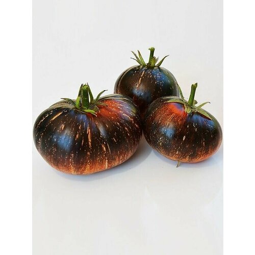 ������ ������ ������������� ������ ������ Ҹ���� ��������� ����