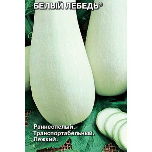 ������ ������ ������ ������� ����� ������ ����