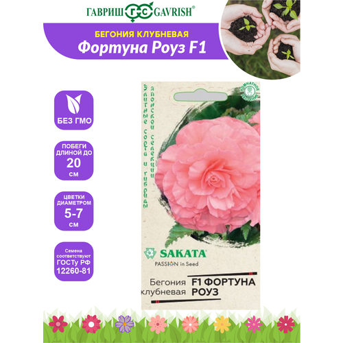 ������ ������ ������ ������ ��������� ������� ��������� ������� ���� F1, �������, ��������, 4 ��. ����