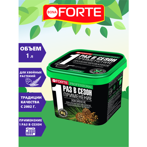  Bona Forte  .      1    -     , -,   