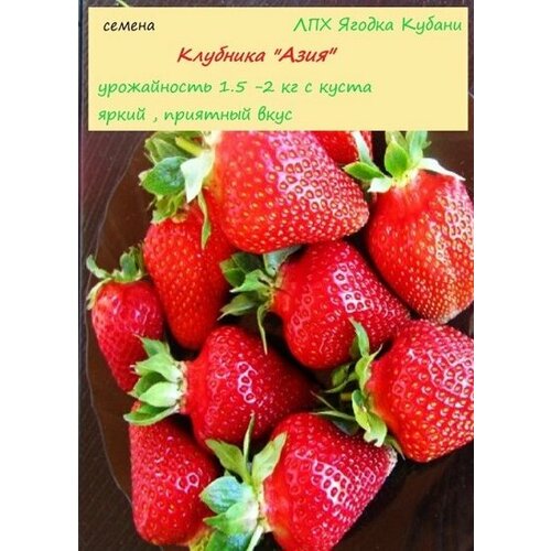 ������ ������ �������� 