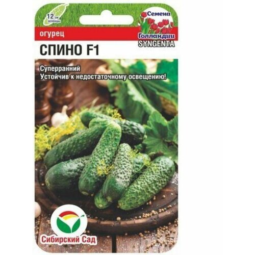 ������ ������ ������ ������� ����� (1 �����-5 �����) ����