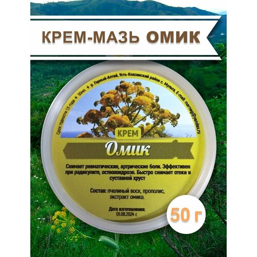 ������ ������ ����-���� ����, 50 � �����, �� ������� �. �. ����