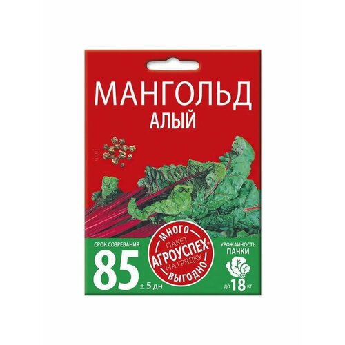 ������ ������ �������� ����, ������ ��������� �����-������� 5� ����