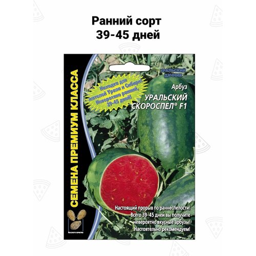 ������ ������ ������ ����� 