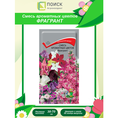 ������ ������ ������ ����� ��������� ������ �������� ���������� 0,5 ��. ����