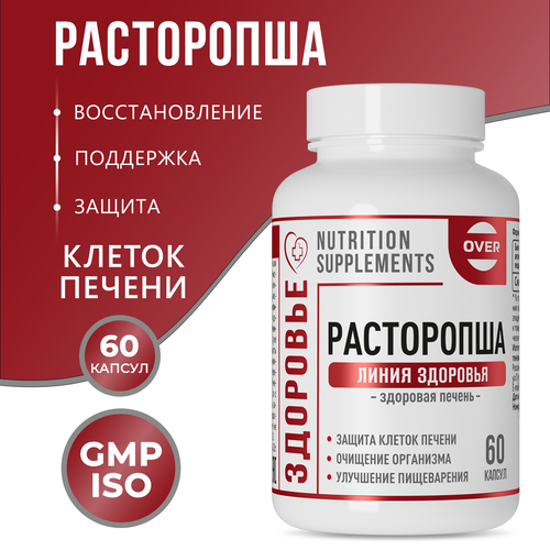 ������ ������ ���������� ��������, �������� ��� �������������� � ������ ������, ��������������� 60 ������ ����