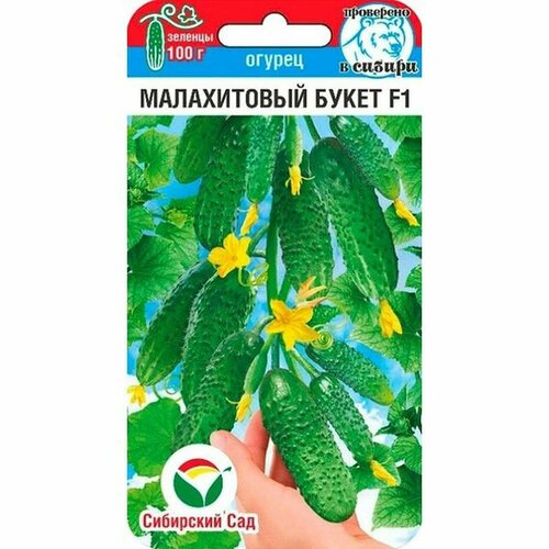 ������ ������ ������ ������ ����������� ����� F1 ����. (�����������) (��������� ���) 5�� ����