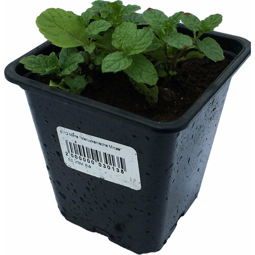 ������ ������ ������� ���� � ������ D9 �25 1 �� ����