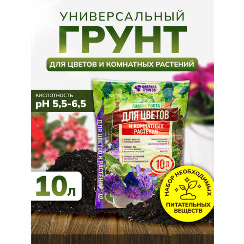 ������ ������ ����� ��� ������ ������������� 10 ������, ����� ��� �������, ����������, InHome Green ����