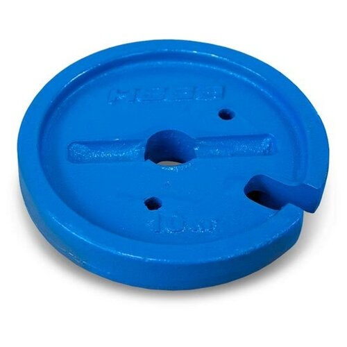 ������ ������ ����-����������� ���� 10 �� ����