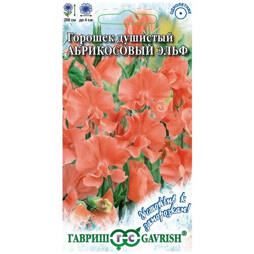 ������ ������ ������. �������� ������� 