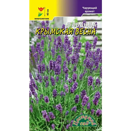 ������ ������ ������� �������� ����� (������ �������� ���), 0,1 � ����