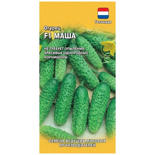 ������ ������ ������ ������ ���� F1 �������� ���������, ������� �� 5 ����� ����