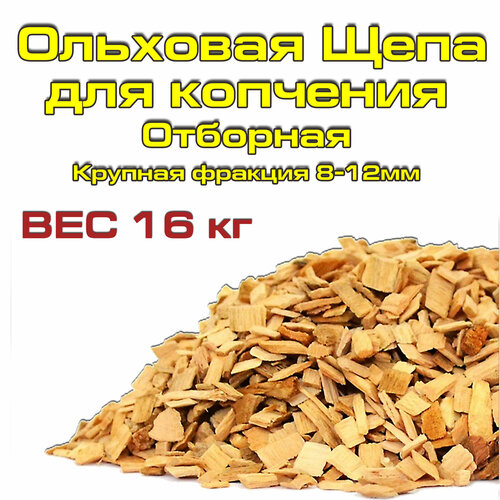 ������ ������ ���� �������� ��� �������� � ��������� �������� ���� � ����, 16 �� ����