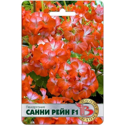 ������ ������ ������ ���������� 