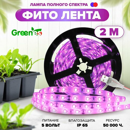 ������ ������ ������������ ��������� ��� �������� Greenes, ��� �������, �����������������, USB, 5V, 2 ����� ����