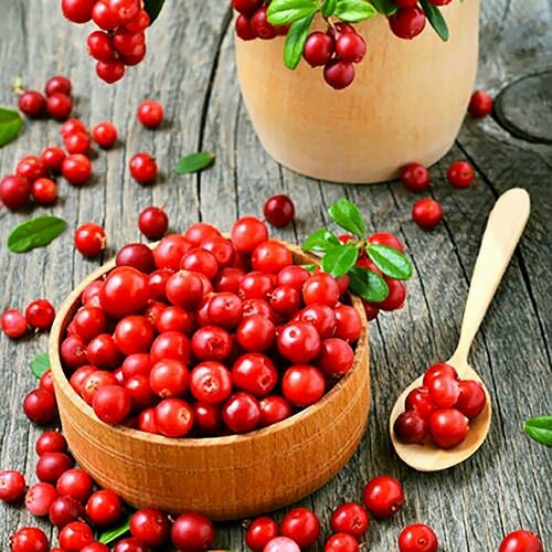 ������ ������ �������� ������, ������, 20 �� ����