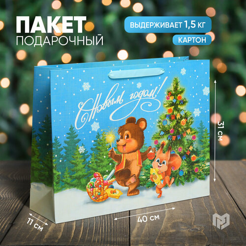 ������ ������ ����� ���������� �������� ����� ����, L 40 � 31 � 11,5 ��, ����� ��� ����