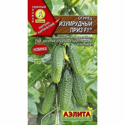 ������ ������ ������ ������ ���������� ���� F1 ����, ������������, (������) 10�� ����