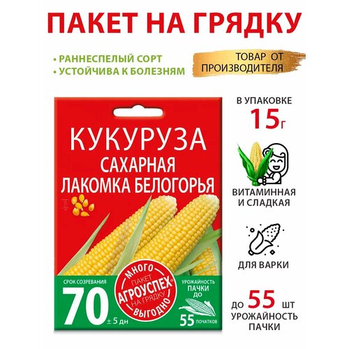 ������ ������ ������ �������� ������� ��������� 15� ����