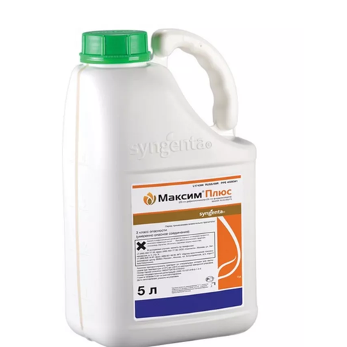 ������ ������ �������� ������ ���� ������������ (100 �� ������ �������) ����