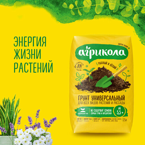 ������ ������ ����� ������������� ��� ������, ������ � ������� ��������, 25 ������ ����