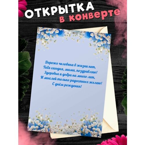 ������ ������ �������� �6 � �������� � ���� ��������, ����! ����