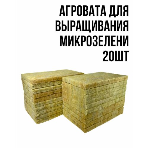 ������ ������ �������� ��� ����������� ����������� 20�� ����