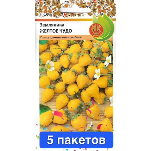 ������ ������ ������ ������ ������� ������ 