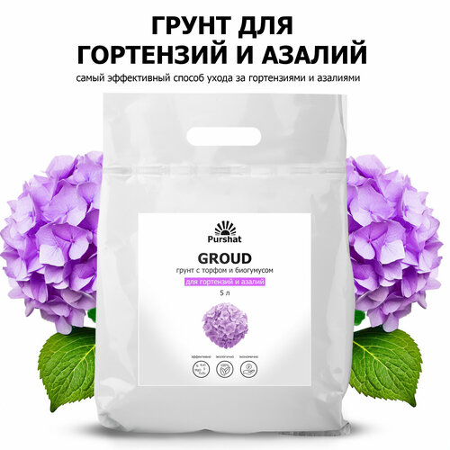 ������ ������ ����� ��� ���������, ��� �������������, ��� ������ ������ 5 � ����