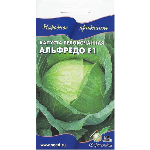 ������ ������ ������� ������������ �������� F1, 12 ����� ����