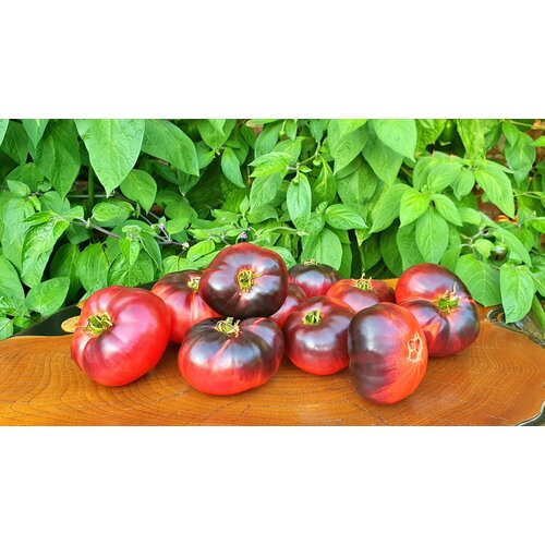 ������ ������ ������ ����� ����������� ������� (Amethyst Jewel) / Seeds And Goods / � �������� zip-lock ��� ���������� 10 ����� ����