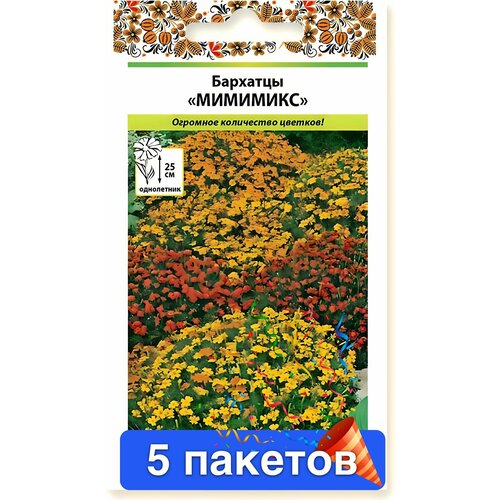 ������ ������ ����� �������� �������� 5 ������� ����