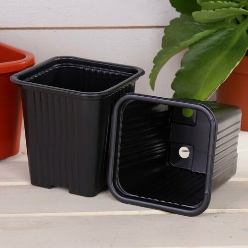 ������ ������ ������ ��� ������� 520 ��, ����� �������� ��� ������� 100 ��, 9 � 9 ��, ���������� ����