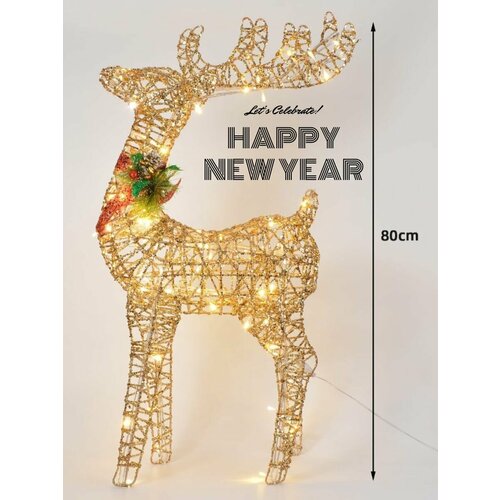 ������ ������ ����� ���������� ��� ����, ������������ 80 �� ����