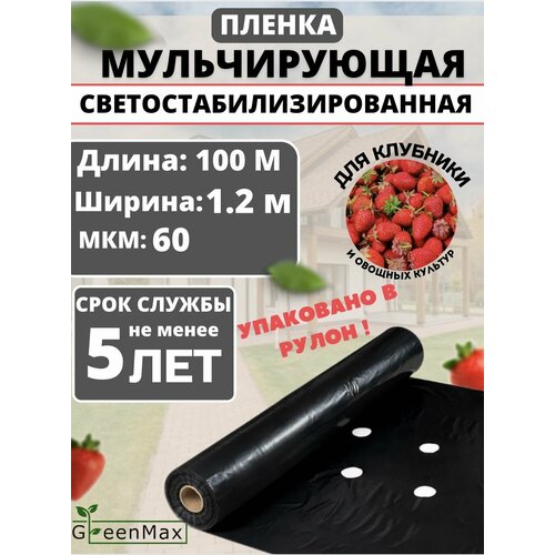 ������ ������ ������ ������������ ��� �������� ����