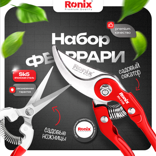 ������ ������ ����� ������� � ������� Ronix ����� 