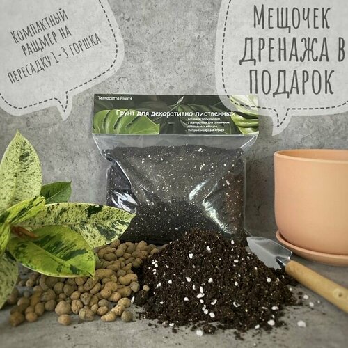 ������ ������ ������� ����� � ���������� ��� ��������� �������� �������� Terracotta Plants, 2,5 ����� ����