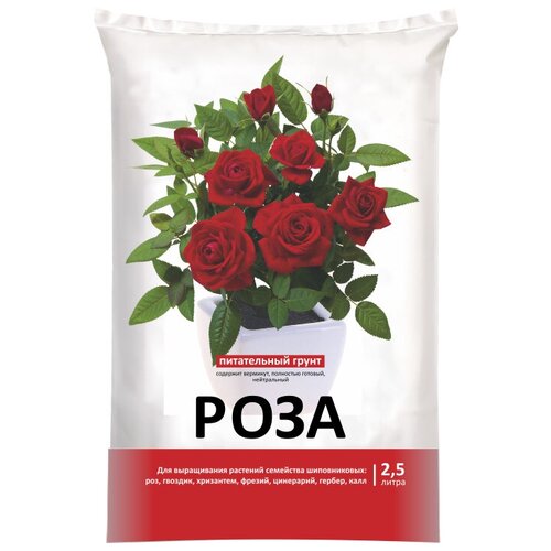 ������ ������ ����� ���-���� ��� ���, 2.5 �, 1.52 �� ����