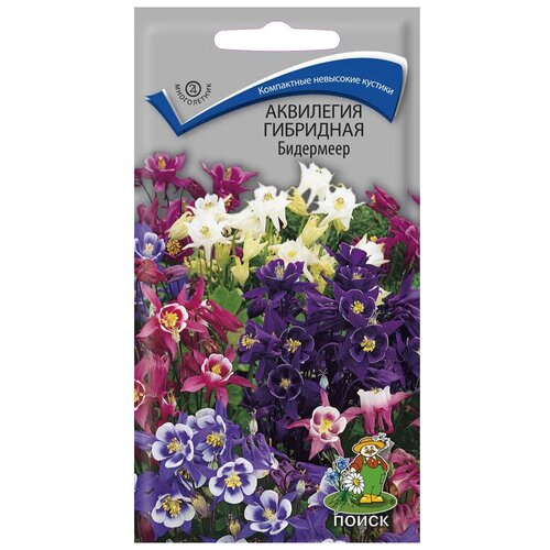 ������ ������ ������ ����� ��������� ��������� ��������� 0.1 � ����