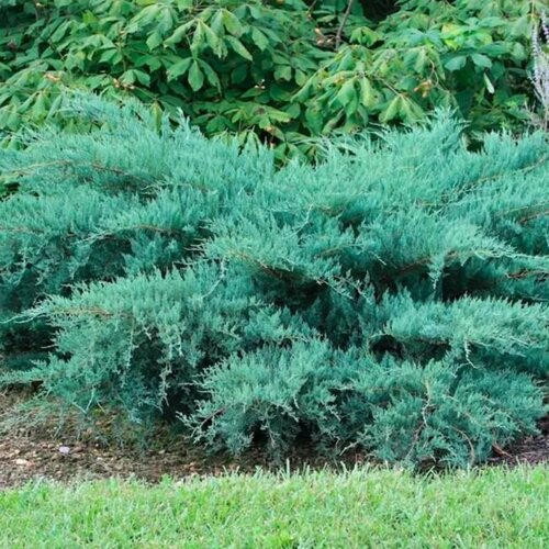 ������ ������ ������������ ������� ����������� ������ ����