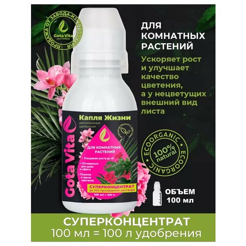 ������ ������ ��������� ��� ��������� �������� ����